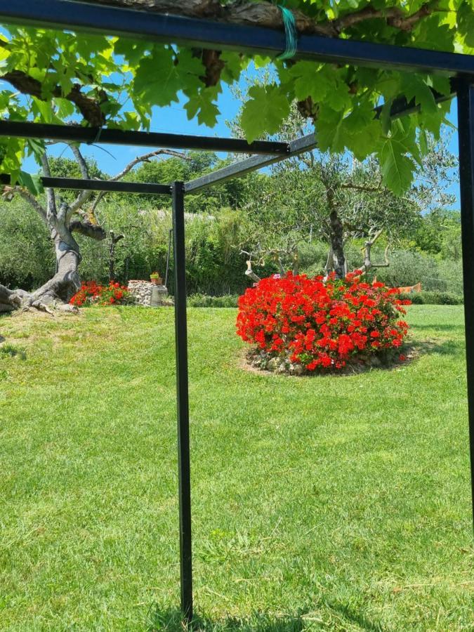 La Casa Dei Ricordi Leilighet Collesalvetti Eksteriør bilde